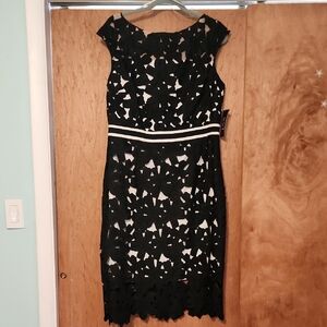 Jax Black and White Midi Dress with Timeless Elegance